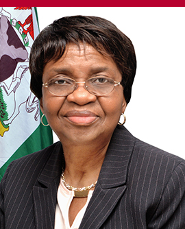 Professor Mojisola Christianah Adeyeye